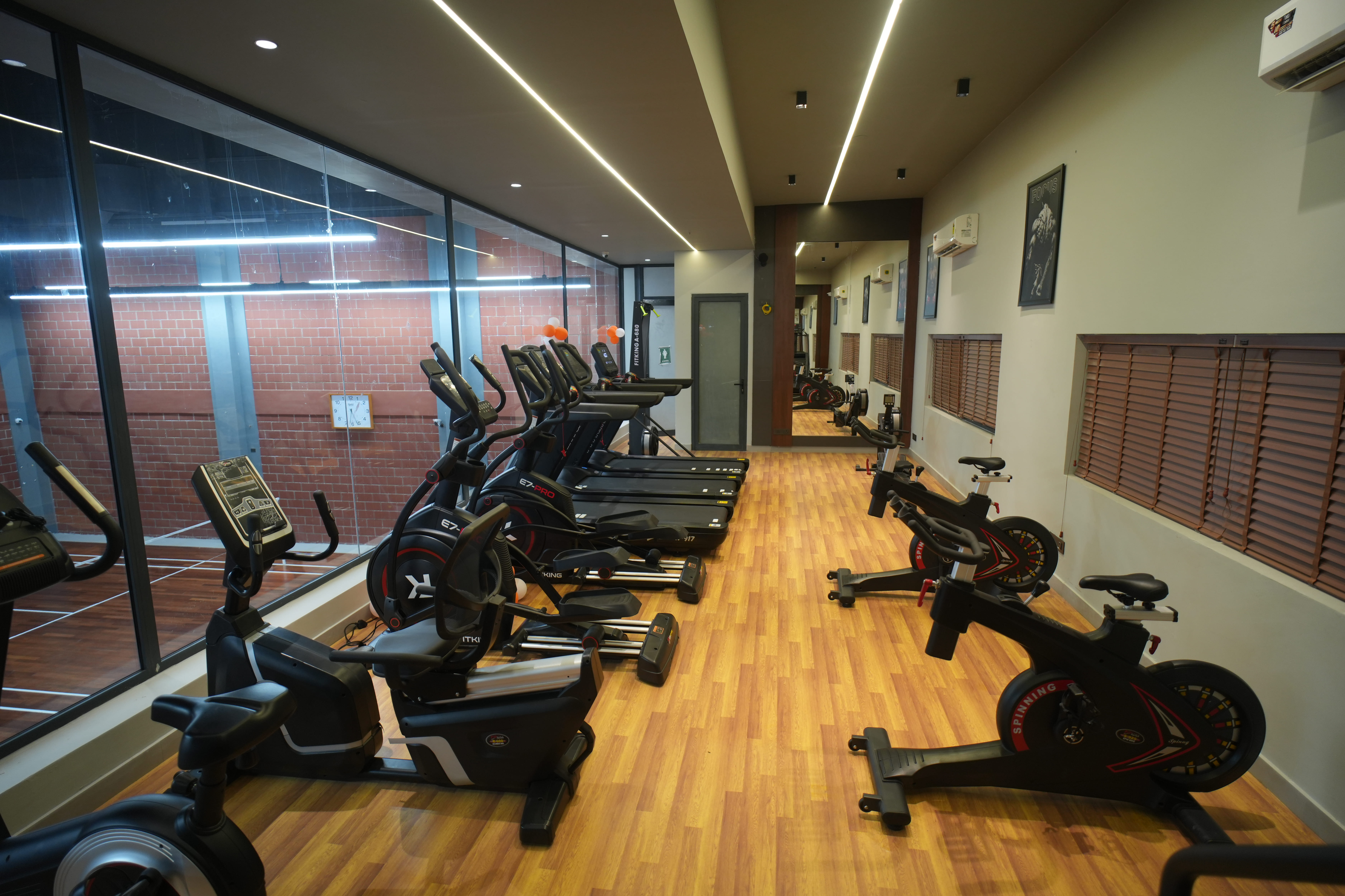 Free Weights Section